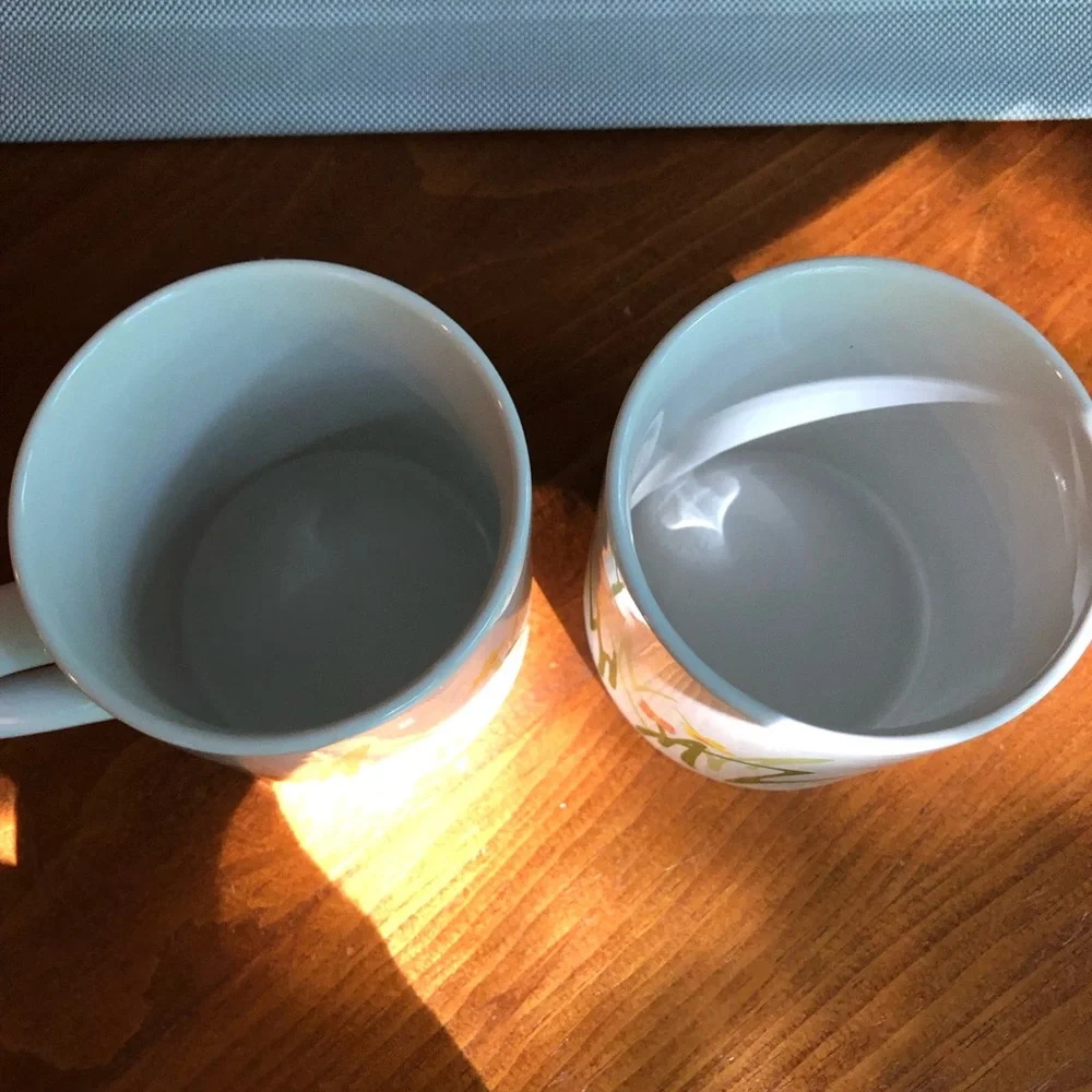 Two Vintage Floral Retro 1983 Bob Van Allen for Contempo Floral Mugs